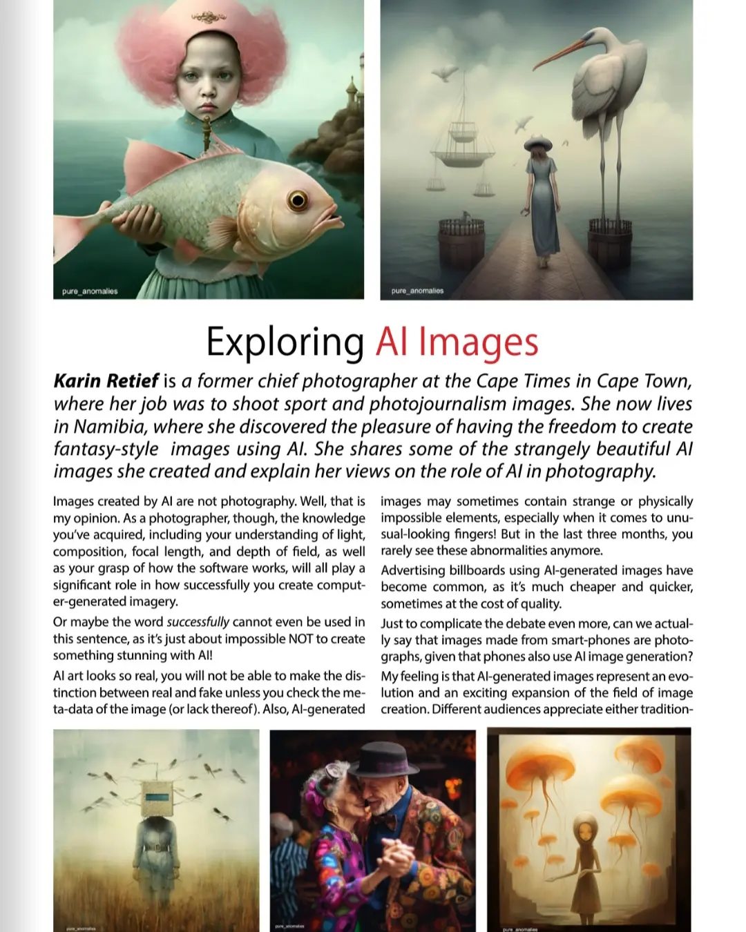 karin retief computer art